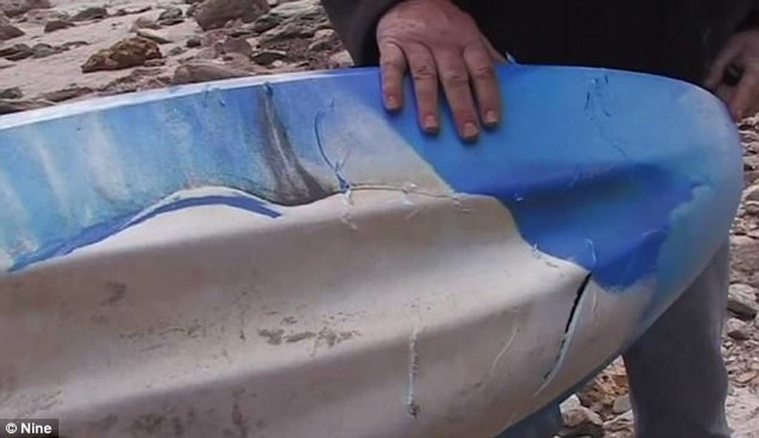 Τεράστιος λευκός καρχαρίας επιτέθηκε σε έφηβη: Πώς την έσωσε ο πατέρας της (vid)