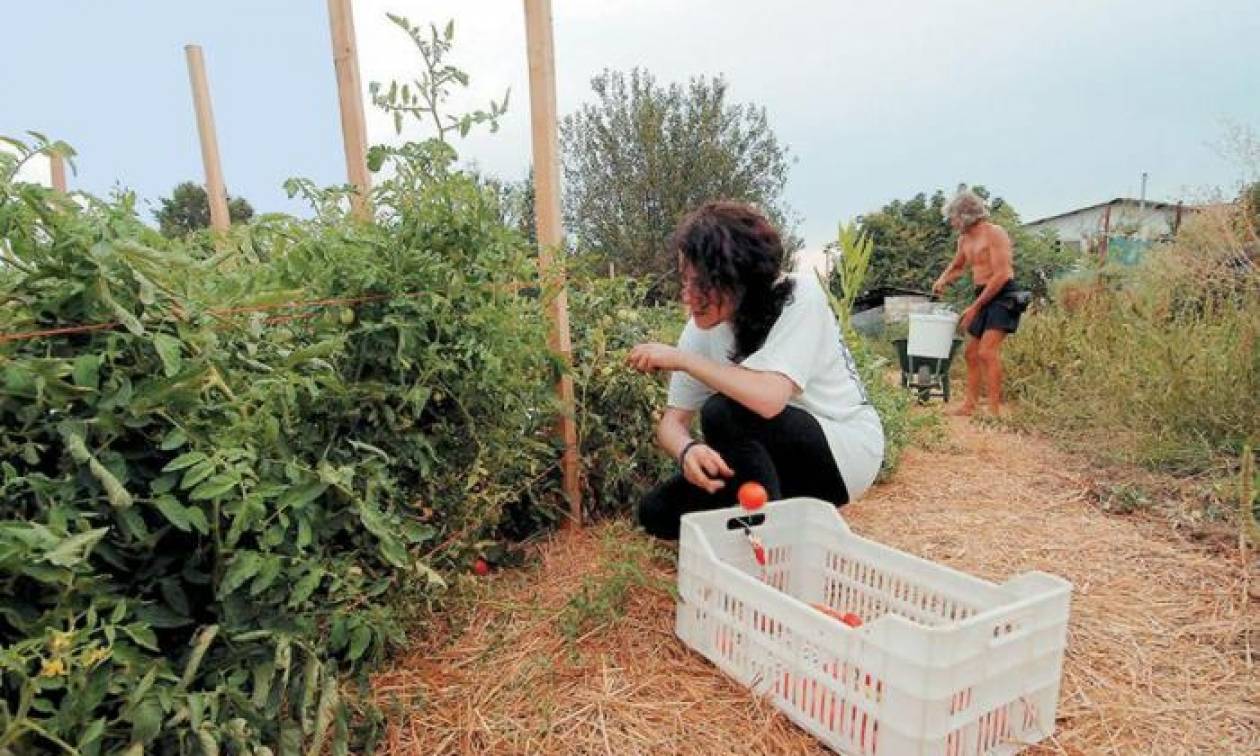 Βοήθημα 1.000 ευρώ για πολύτεκνες αγρότισσες: Μέχρι τις 6 Νοεμβρίου η υποβολή αιτήσεων