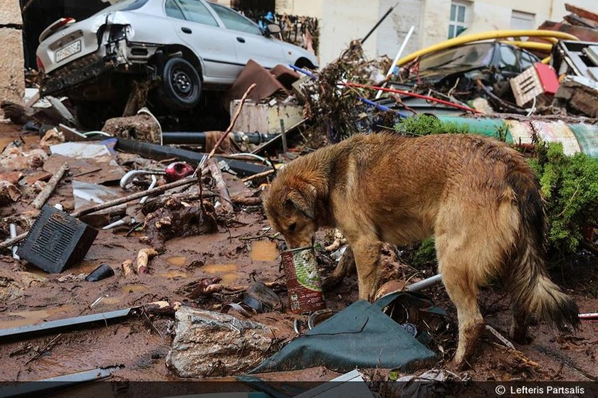 Πλημμύρες Νεα Πέραμος - Μάνδρα: Ντράπηκε μέχρι και το κουράγιο στον τόπο της τραγωδίας(photos)