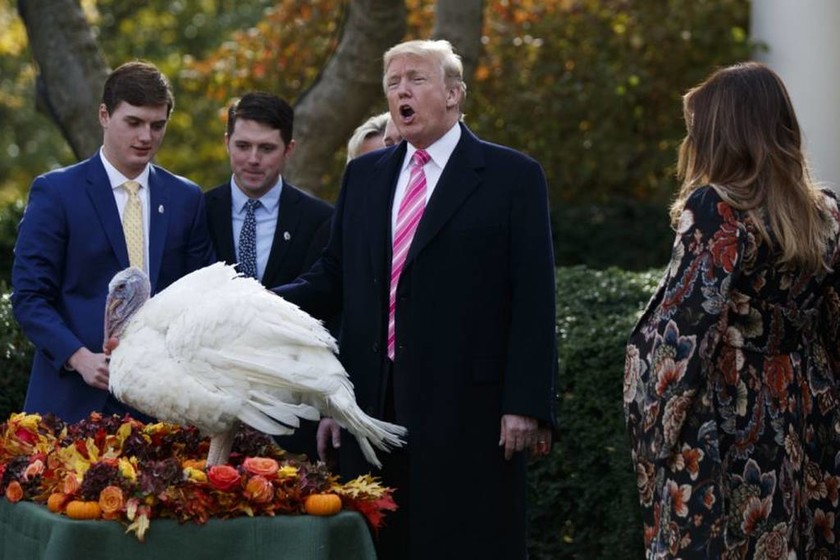 Ημέρα των Ευχαριστιών - Ντράμστικ: Αυτή είναι η γαλοπούλα που έσωσε ο Ντόναλντ Τραμπ (pics)