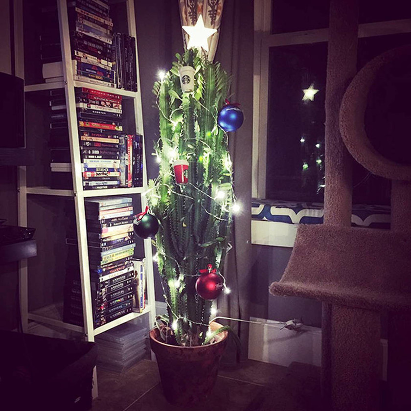 Viral: Ο ξεκαρδιστικός λόγος για τον οποίο αυτό το χριστουγεννιάτικο δέντρο είναι ανάποδα (Pics)