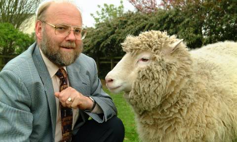 Νέα έρευνα ανατρέπει όσα γνωρίζαμε για τη Ντόλι το πρώτο κλωνοποιημένο πρόβατο