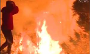 Ο ήρωας της Καλιφόρνιας: Σώζει με αυτοθυσία κουνέλι από την καταστροφική πυρκαγιά (vid)