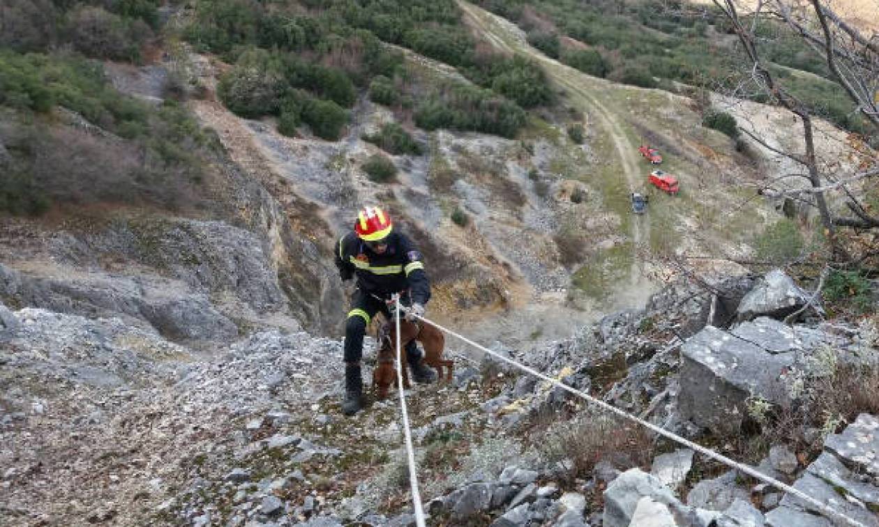 Βίντεο - Κοζάνη: Εντυπωσιακή διάσωση σκύλου από την πυροσβεστική