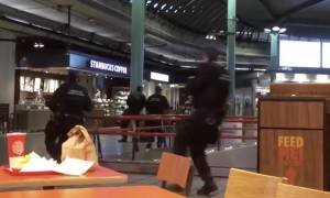 Συναγερμός στην Ολλανδία: Πυροβολισμοί στο αεροδρόμιο Σχίπχολ του Άμστερνταμ (Vid)