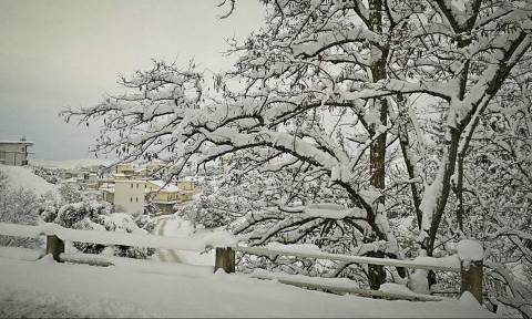 Καιρός: Χιονίζει στα βόρεια προάστια της Αθήνας - Παγωνιά σε όλη τη χώρα