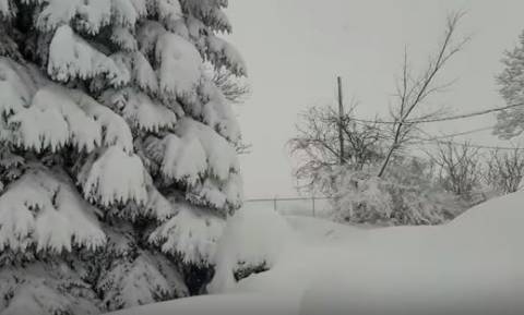 Πενσυλβάνια: Το χιόνι «κατάπιε» μια ολόκληρη πόλη - Δείτε το βίντεο!