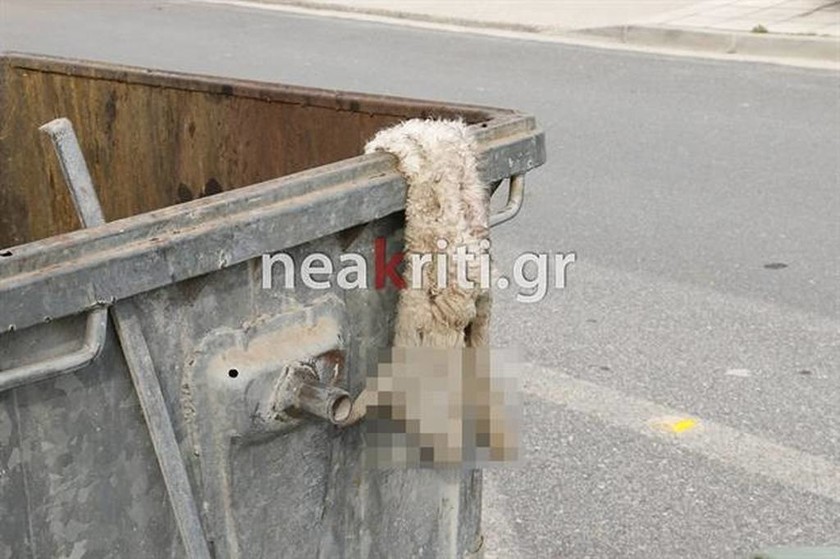 Αποτρόπαιο: Φριχτό θέαμα σε κάδο σκουπιδιών στο Ηράκλειο (pics)