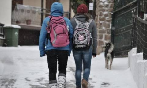 Καιρός - Φλώρινα: Αργότερα ξεκινούν τα μαθήματα την Τετάρτη (24/1) λόγω παγετού