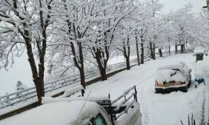 Κακοκαιρία: Κλειστά τα σχολεία στο Δομοκό την Παρασκευή λόγω χιονιά
