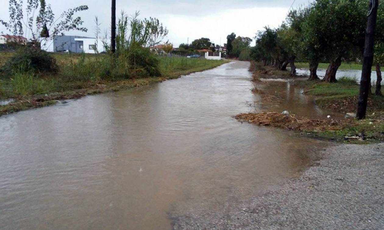 Ηλεία: Σε κατάσταση έκτακτης ανάγκης τοπικές κοινότητες στην Ανδρίτσαινα και στη Ζαχάρω