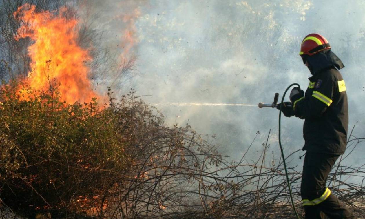 Τραγικός θάνατος για άνδρα στην Εύβοια: Πήγε να κάψει κλαριά και απανθρακώθηκε