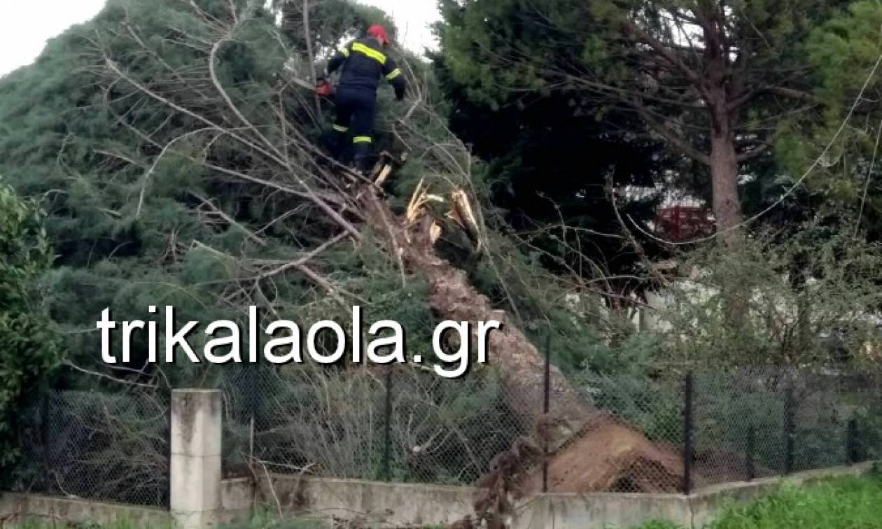 Σφοδρή ανεμοθύελλα έπληξε τα Τρίκαλα - Ξεριζώθηκαν δέντρα, ξηλώθηκαν σκεπές (vid)