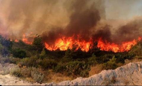 Συναγερμός στην Πυροσβεστική - Νέο πύρινο μέτωπο στην Κρήτη