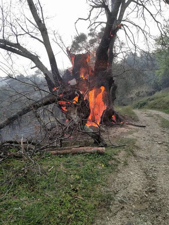 ΕΚΤΑΚΤΟ – Φωτιά: Πύρινη κόλαση στα Χανιά - Απειλούνται σπίτια - Απεγκλωβισμός ατόμων στην Κίσσαμο