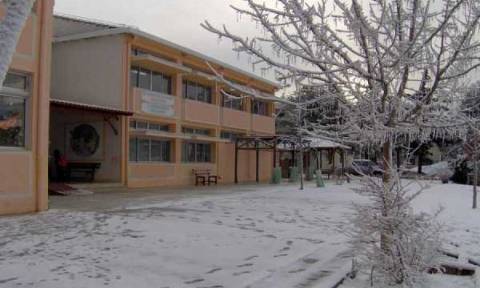 Καιρός: Κλειστά την Παρασκευή τα σχολεία στην Φλώρινα