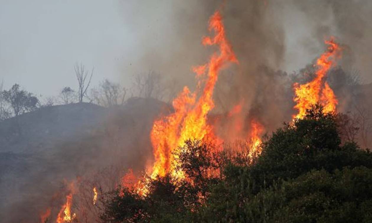 Φωτιά: Μεγάλη πυρκαγιά στη Φρίξα Κρεστένων (pics)