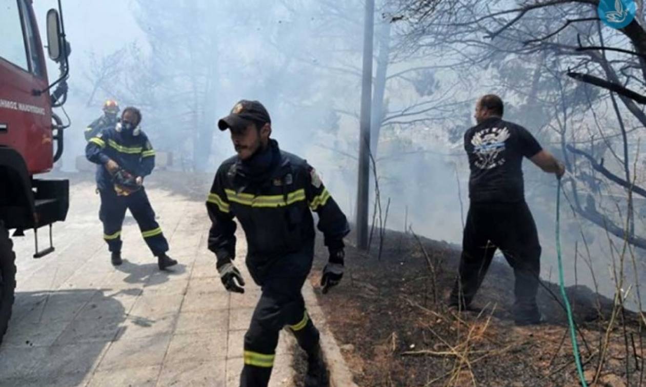 Ανανέωση πρόσληψης για 1.500 εποχικούς πυροσβέστες