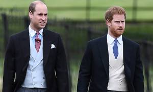 Οικογενειακή υπόθεση ο βασιλικός γάμος: Ο Ουίλιαμ κουμπάρος του Χάρι και της Μέγκαν Μαρκλ