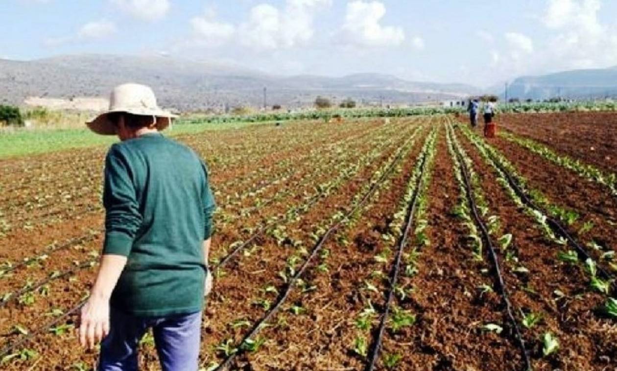 Ρύθμιση - ανάσα μέσα στον Μάιο για τους αγρότες