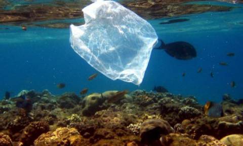 Βρέθηκε πλαστική σακούλα στο πιο βαθύ σημείο των ωκεανών