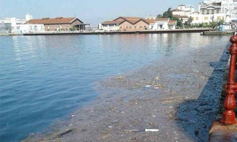 Εικόνες ντροπής στη Θεσσαλονίκη: Γέμισε σκουπίδια και πλαγκτόν ο Θερμαϊκός (pics)