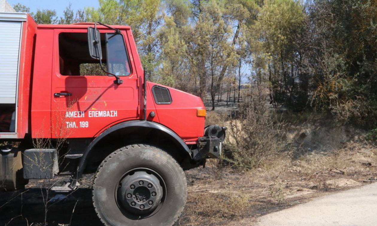 ΟΑΕΔ: Ξεκίνησαν οι αιτήσεις 5.066 θέσεων πλήρους απασχόλησης για την αντιπυρική προστασία