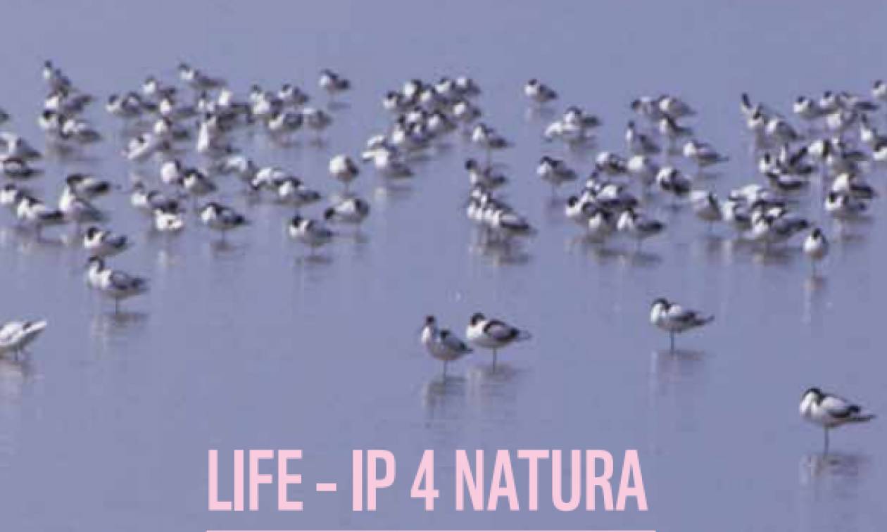 LIFE-IP 4 NATURA: «Επανεκκίνηση» για την προστασία της ελληνικής φύσης