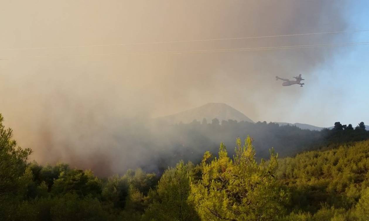 Μεγάλη φωτιά στην Εύβοια: Οι πρώτες εικόνες (pics)