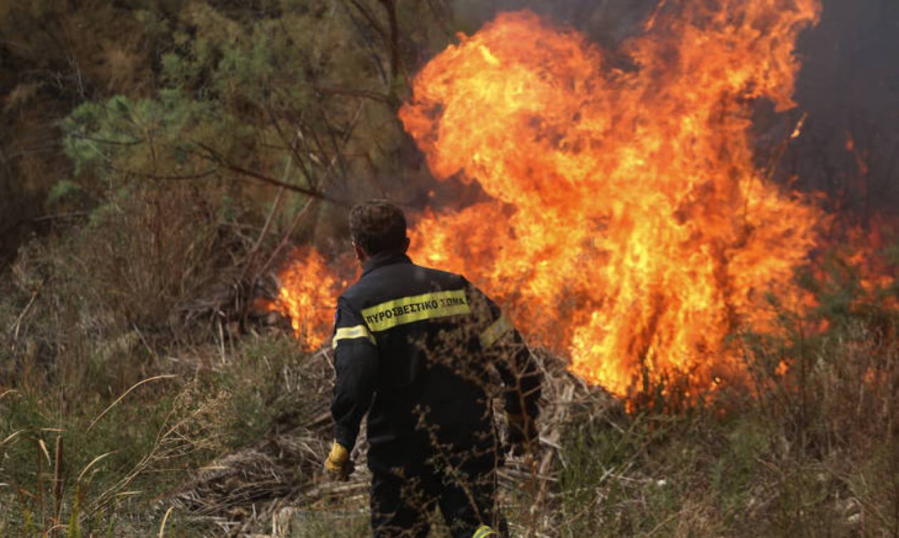 Υπό μερικό έλεγχο η φωτιά στην Εύβοια