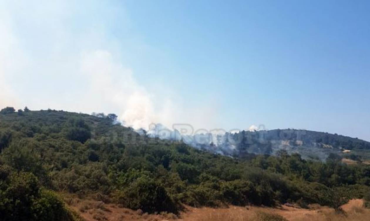 Μεγάλη φωτιά ΤΩΡΑ στην Αταλάντη (vid)