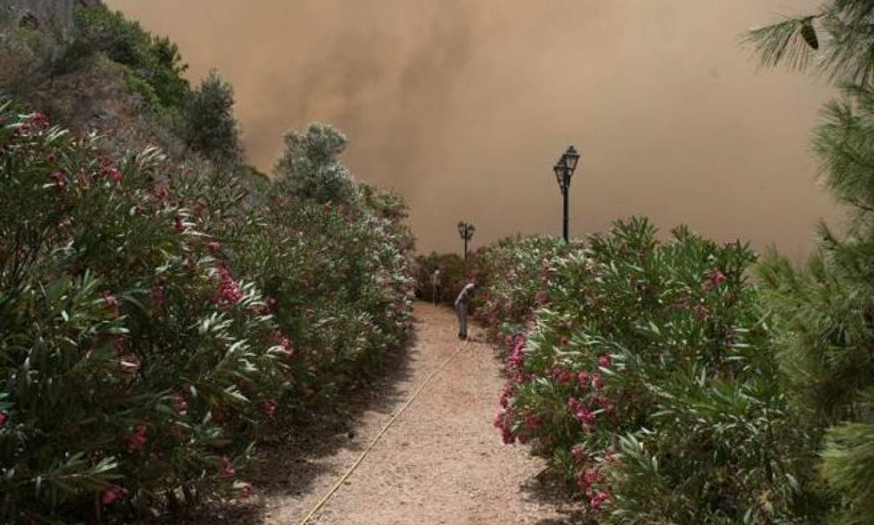 Μεγάλη φωτιά στην Πύλο (pics+vid)