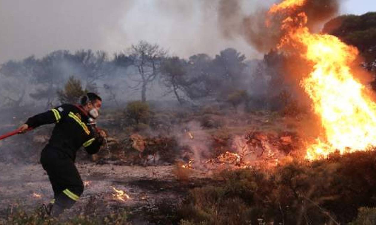 Υπό μερικό έλεγχο η πυρκαγιά στην Πύλο Μεσσηνίας