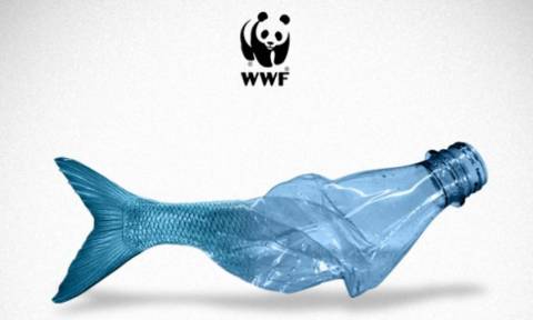 WWF: Η Μεσόγειος κινδυνεύει να μετατραπεί σε μια «πλαστική θάλασσα»