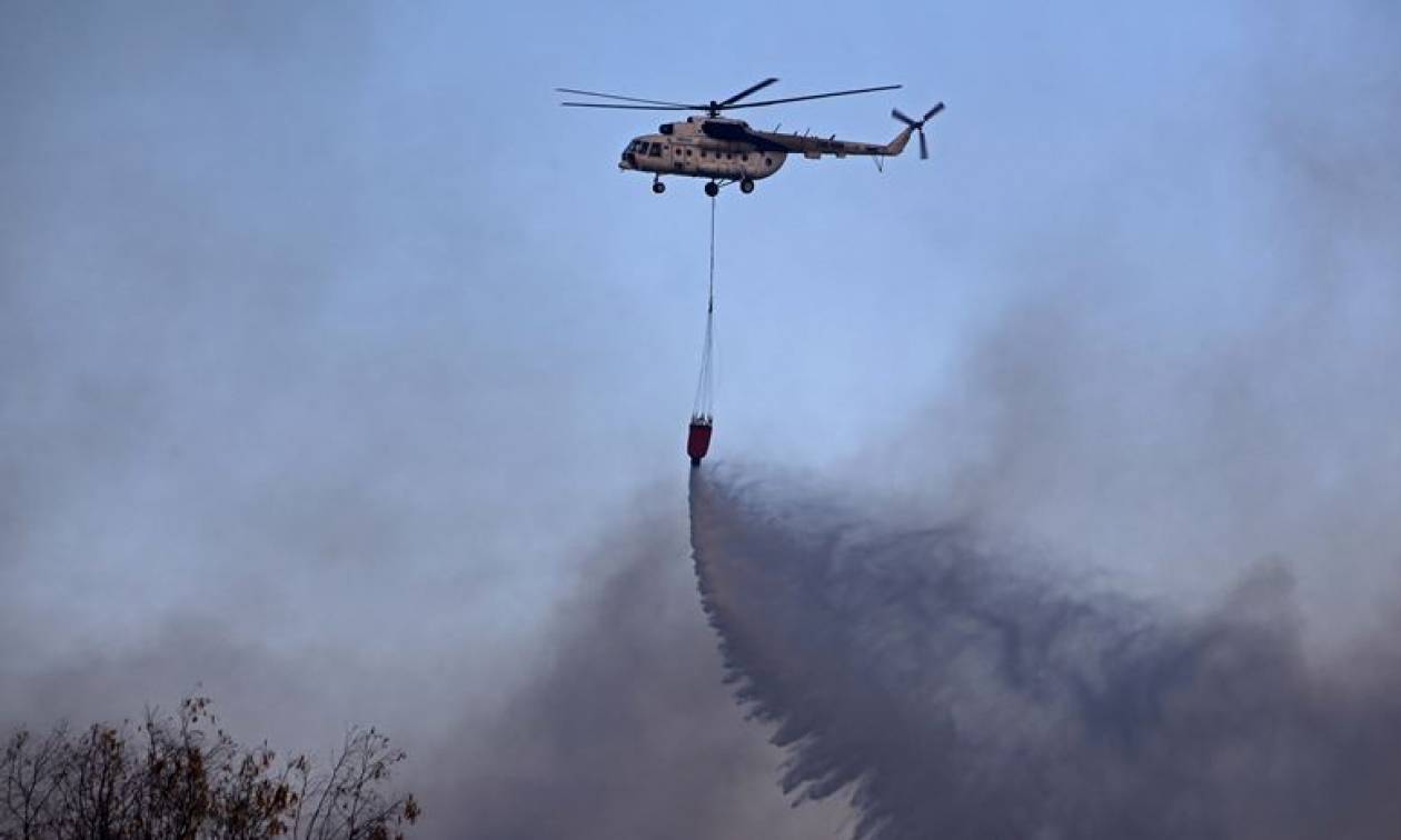 Φωτιά τώρα – Συναγερμός για μεγάλη πυρκαγιά στη Βοιωτία