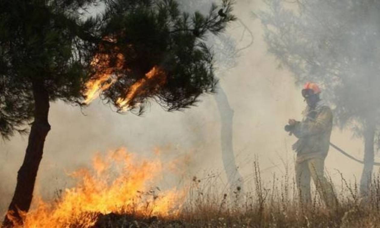 Φωτιά σε δασική έκταση στην περιοχή Αμπέλια Αγρινίου