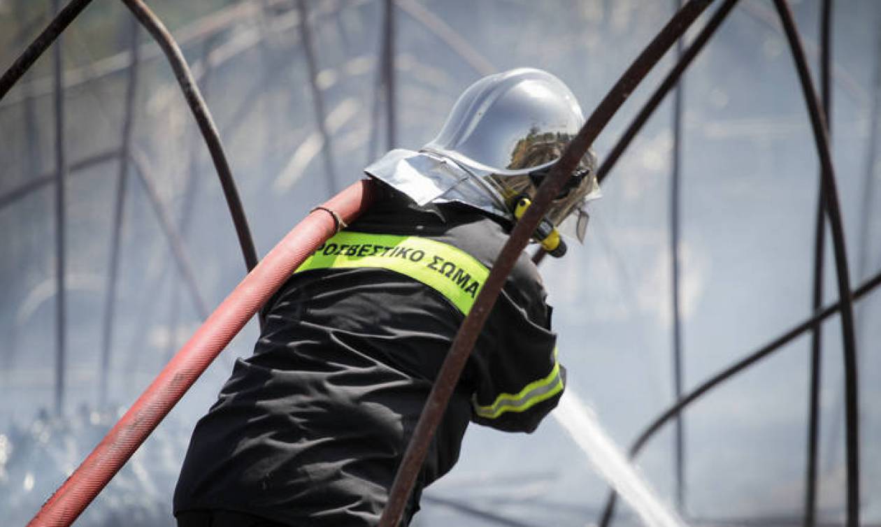 Μεγάλη πυρκαγιά ΤΩΡΑ σε εργοστάσιο στα Οινόφυτα Βοιωτίας