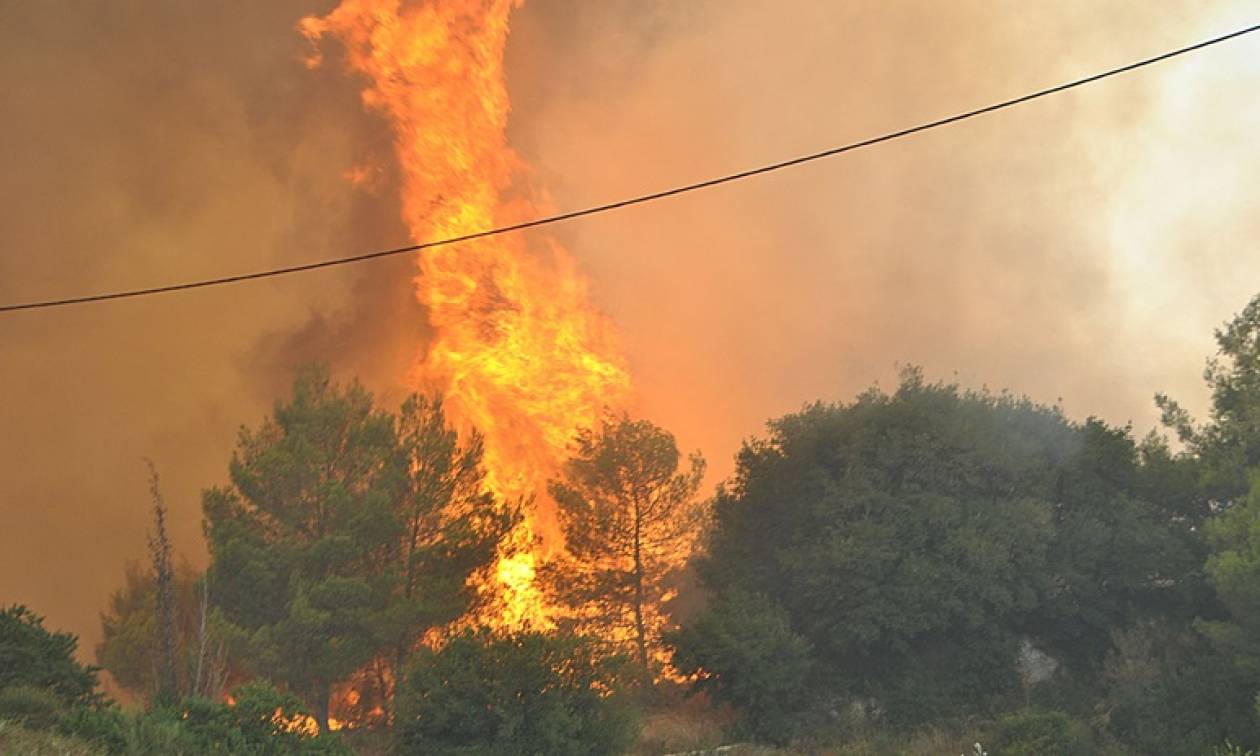 Σε ύφεση οι φωτιές σε Νέα Μάκρη και Κερατέα