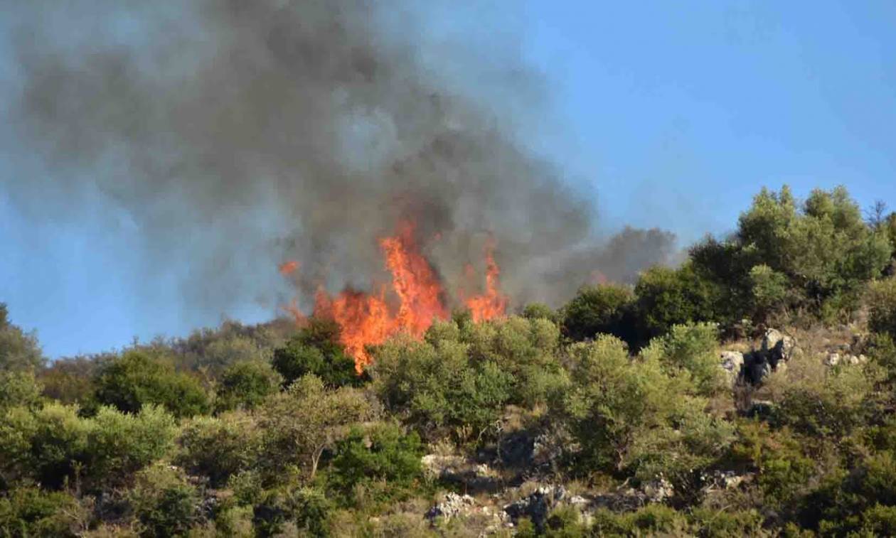 Σε εξέλιξη η φωτιά στο Άργος