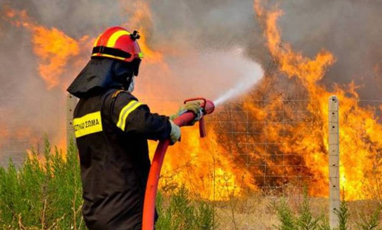 «Πύρινη κόλαση» στην Κρήτη - Στάχτη 40 στρέμματα γης