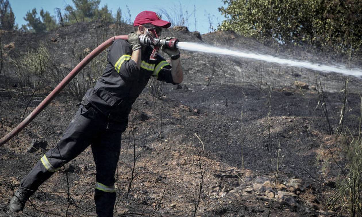 Μεσολόγγι: Υπό μερικό έλεγχο η φωτιά στην Κατοχή Μεσολογγίου