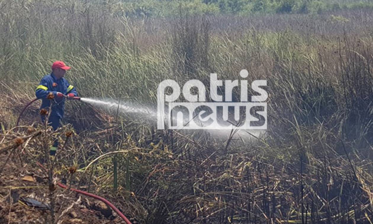 Πύργος: Μεγάλη φωτιά απείλησε σπίτια στη Σπιάντζα (photos)