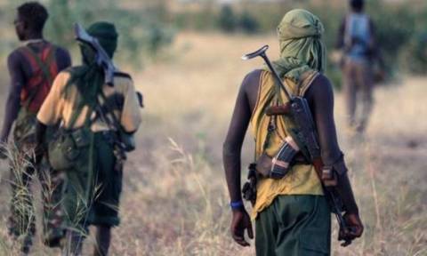 Νιγηρία: 23 στρατιωτικοί που έπεσαν σε ενέδρα της Μπόκο Χαράμ αγνοούνται