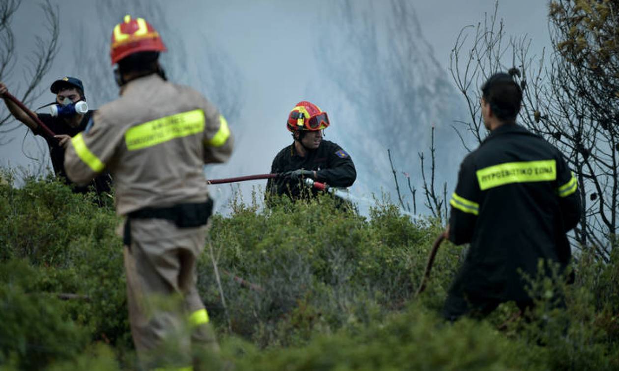 Υπό έλεγχο η φωτιά στην Ηλεία