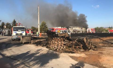 Συναγερμός για νέα μεγάλη φωτιά στις Αχαρνές - Δείτε τις αποκλειστικές εικόνες του Newsbomb.gr