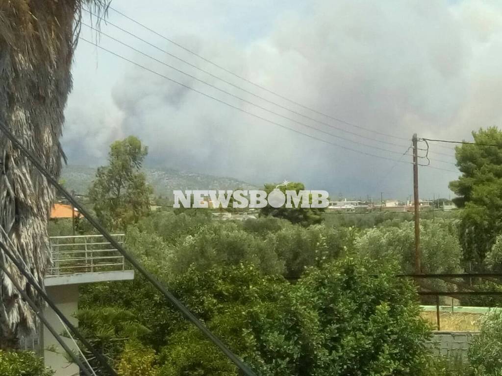 ΕΚΤΑΚΤΟ: Μεγάλη φωτιά στη Δυτική Αττική - Στις φλόγες τα Γεράνια Όρη (pics)