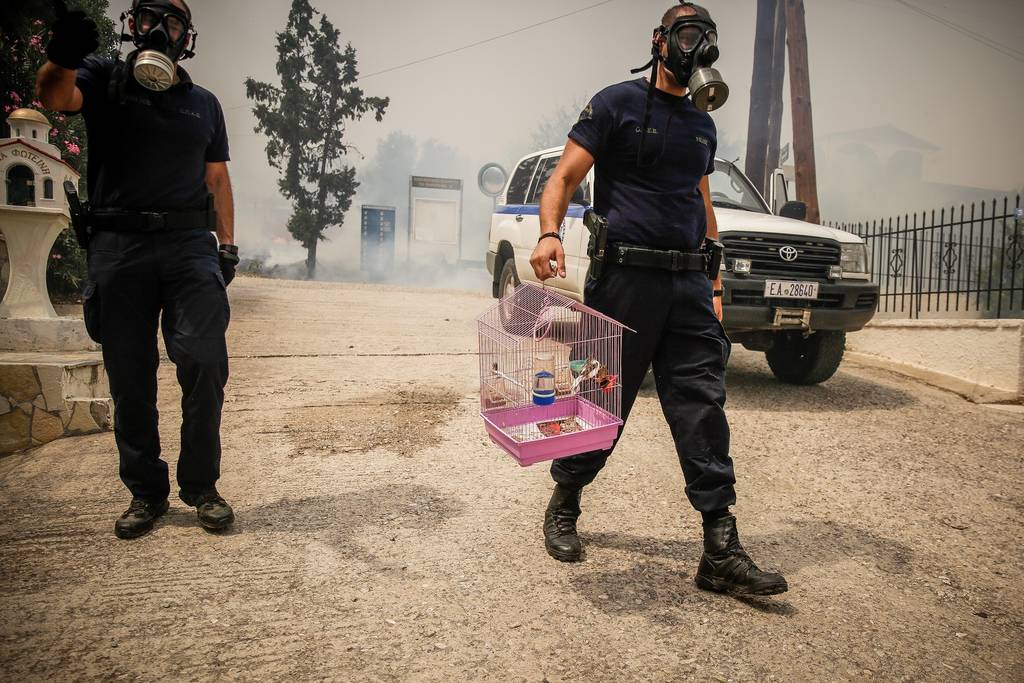 Φωτιά τώρα στην Κινέτα:«Πρόκειται για μία από τις πιο δύσκολες πυρκαγιές»