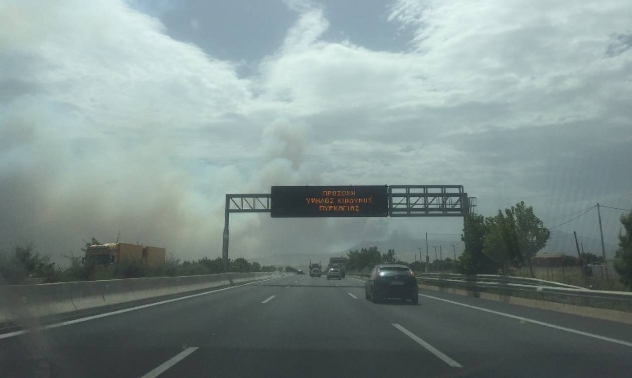 Φωτιά Κινέτα Live: Διεκόπη η κυκλοφορία του Προαστιακού - Συγκλονιστικές εικόνες από την Εθνική Οδό