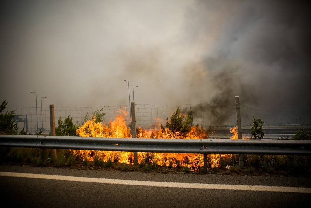 Φωτιά Κινέτα: Πληροφορίες ότι αγνοείται κτηνοτρόφος 