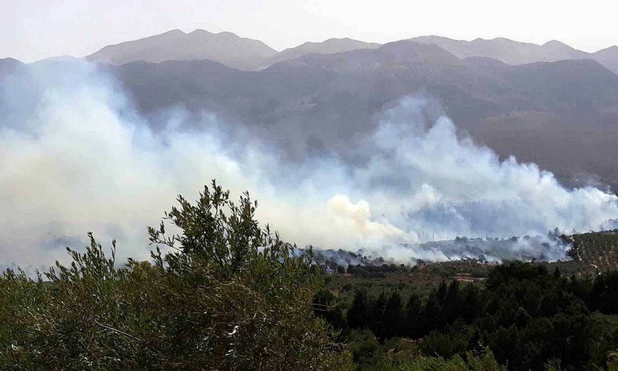 Φωτιά Χανιά: Μεγάλη πυρκαγιά στον Αποκόρωνα - Στις αυλές των σπιτιών έφτασαν οι φλόγες (Pics+Vid)